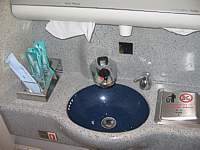 All Nippon Airways 777 bathroom Jan 2008