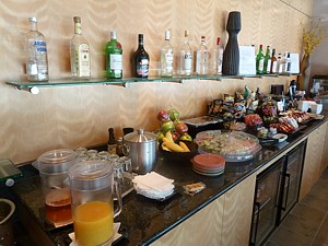 British Airways Dallas Lounge DFW Aug 2011