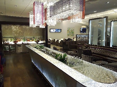 British Airways Heathrow Terminal 5 Satellite Galleries Club Jan 2011