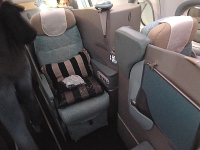 Etihad Business Class Seat